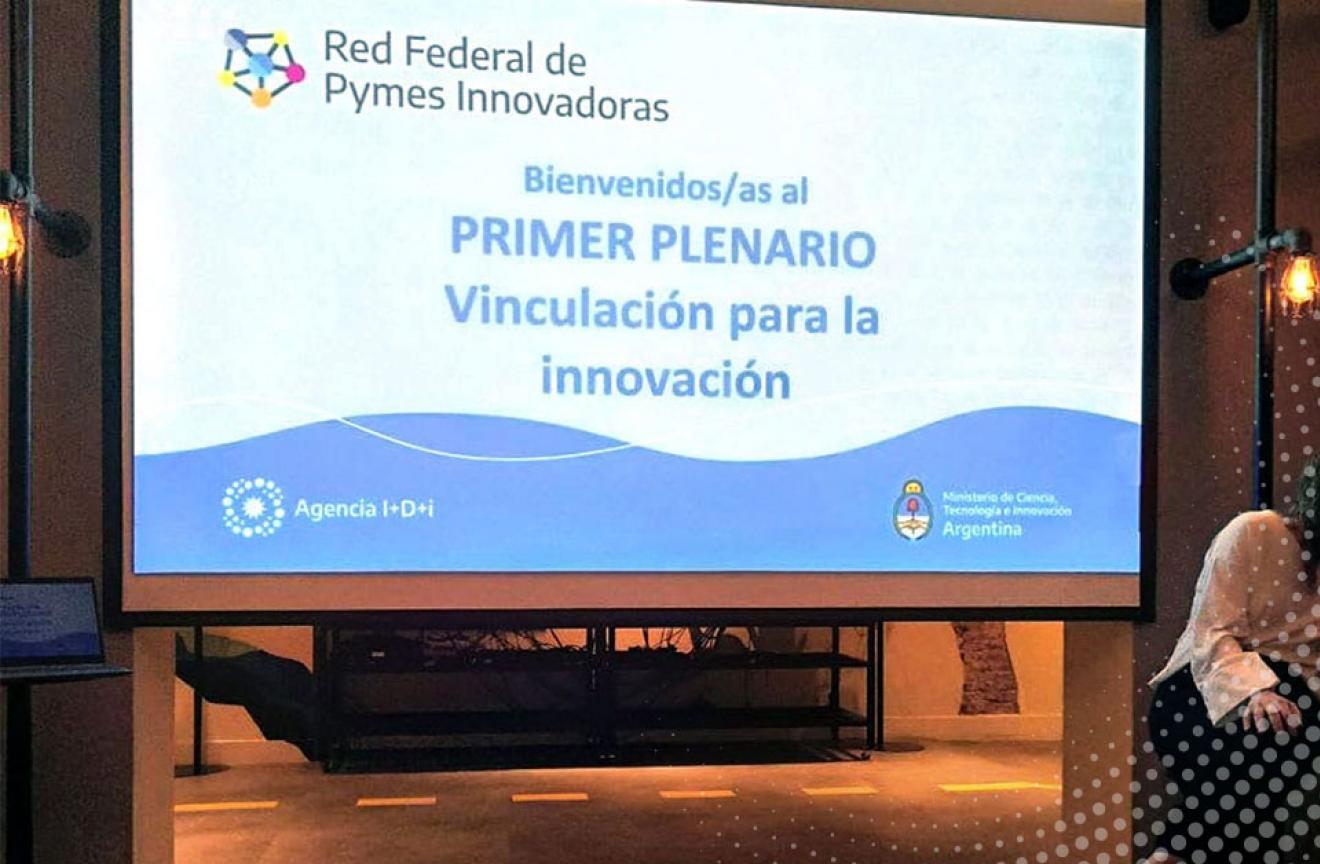 Plenario Pymes innovadoras
