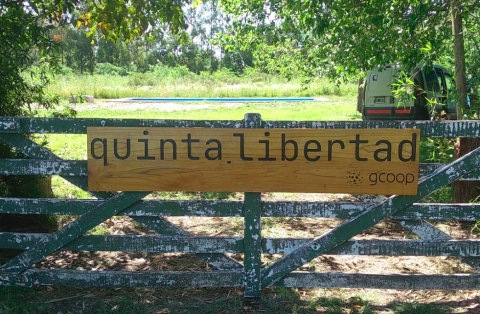 cartel quinta libertad